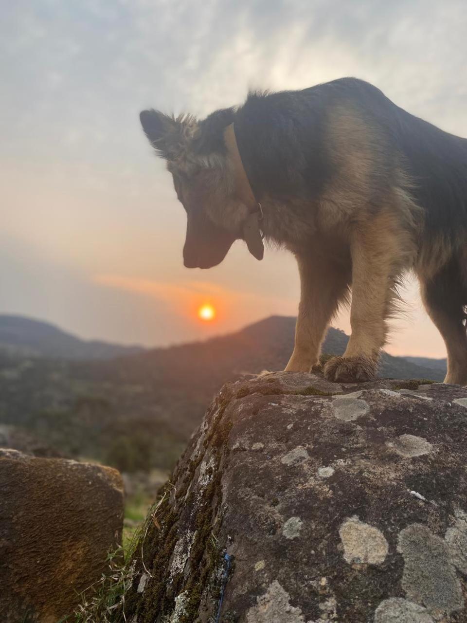 Monte Siao Chateau Urubici Bagian luar foto