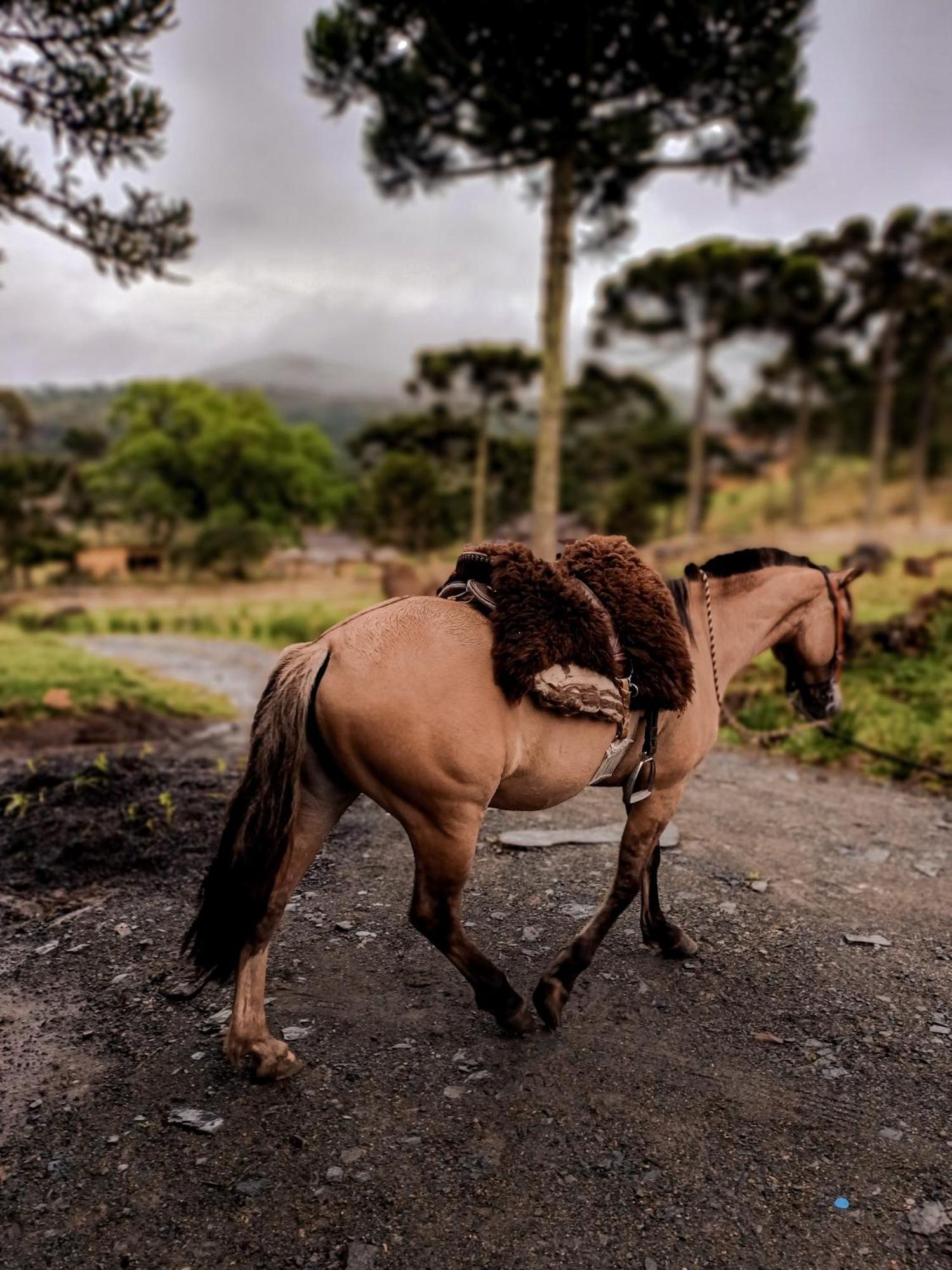 Monte Siao Chateau Urubici Bagian luar foto